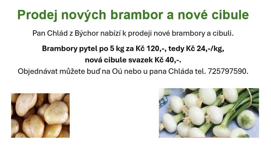 Pan Chlád z Býchor nabízí k prodeji nové brambory a cibuli. Brambory jsou k dispozici v pytlích po 5 kg za 120 Kč, což odpovídá 24 Kč/kg a nová cibule je nabízena v svazku za 40 Kč.