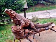 Varan