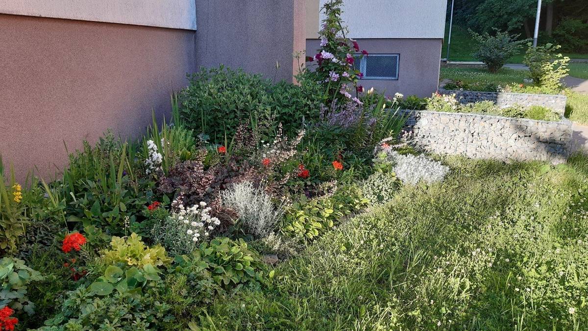 Obyvatelé Ostravy-Jihu mohou i v letošním roce získat finanční příspěvek na zkrášlení okolí svých domů. Městský obvod poskytuje formou daru až 1 500 korun na nákup okrasných rostlin, zeminy a hnojiv určených pro výsadbu před bytovými domy. Žádosti je možné podávat do 31. října 2026. Cílem tohoto programu je podpořit aktivní obyvatele, kteří si chtějí zkrášlit okolí svého domu.  Příspěvek lze využít například na letničky, trvalky, dvouletky nebo keře. O dar může v daném roce požádat jeden žadatel za jeden domovní vchod. Podmínkou je doložení dokladu o nákupu rostlin a zaslání fotografií místa před výsadbou a po jejím dokončení. Vyřízení žádosti probíhá prostřednictvím odboru dopravy a komunálních služeb Úřadu městského obvodu Ostrava-Jih. Další informace, pravidla i formulář žádosti jsou k dispozici na webových stránkách městského obvodu: https://ovajih.ostrava.cz/cs/radnice/urad/odbor-dopravy-a-komunalnich-sluzeb/zivotni-situace/vysadba-kvetin-na-predzahradkach-s-cerpanim-financniho-prispevku-formou-daru