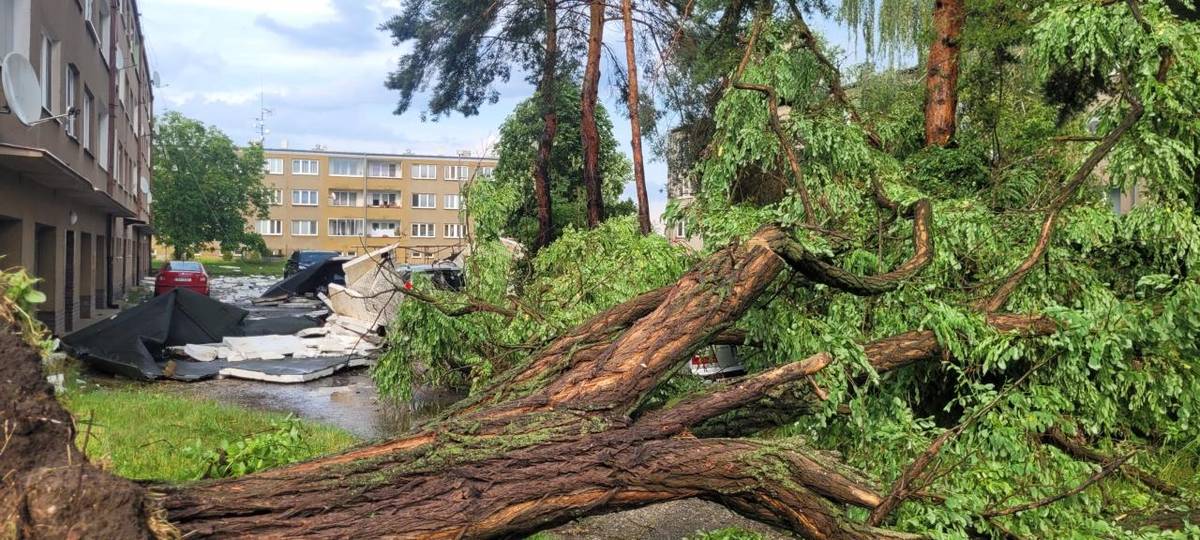 Bouřka, která se v neděli 21. 6. odpoledne prohnala Poříčany, napáchala velké množství škod. Nejvíce zasáhla lokalitu okolo bytovek, ale i jinde máme nahlášeny popadané stromy.