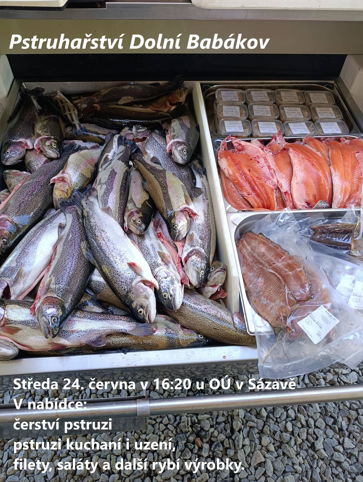 Ve středu 24. června v 16:20 u OÚ v Sázavě prodej čerstvých chlazených pstruhů. V nabídce pstruzi kuchaní, uzení, filety, saláty a další rybí výrobky.