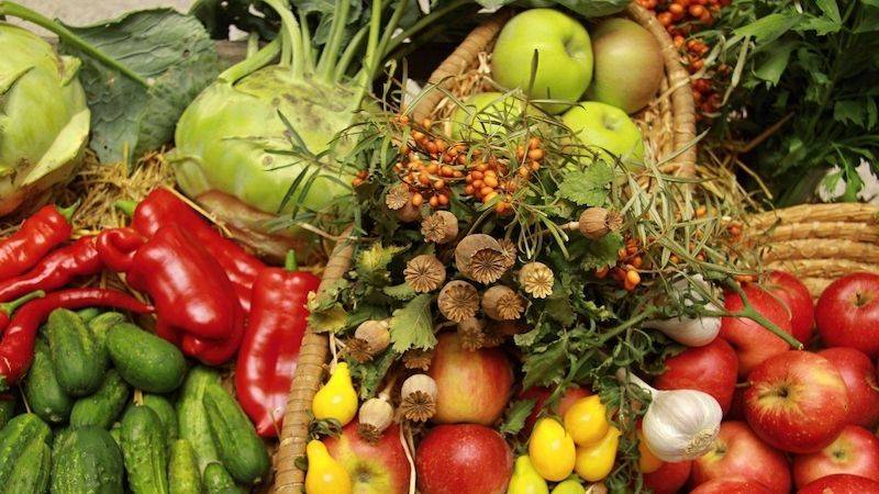 Zelenina Juvita Uherský Brod bude v úterý 23.6. od 14:00 do 14:20 h, prodávat jahody, meruňky ze Strážnice, nové brambory ze Znojma, české okurky, rajčata, papriky, nový česnek, cibuli, květák a další ovoce a zeleninu. Dále nabízí žampiony, hlívu ústřičnou a med.