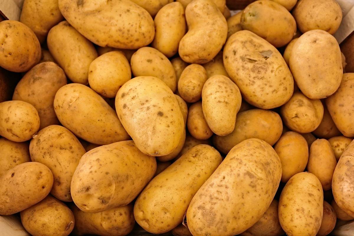 Firma JURIGA z Troskotovic bude v sobotu 27. 6. v 17:15 hodin na náměstí prodávat rané brambory - cena 15 Kč za 1 kg, balení po 10 kg.