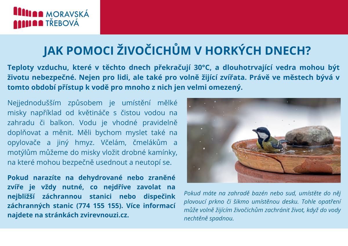 Odbor životního prostředí připravil stručný návod, který má sloužit jako přehledný tahák pro první pomoc volně žijícím živočichům v horkých dnech.