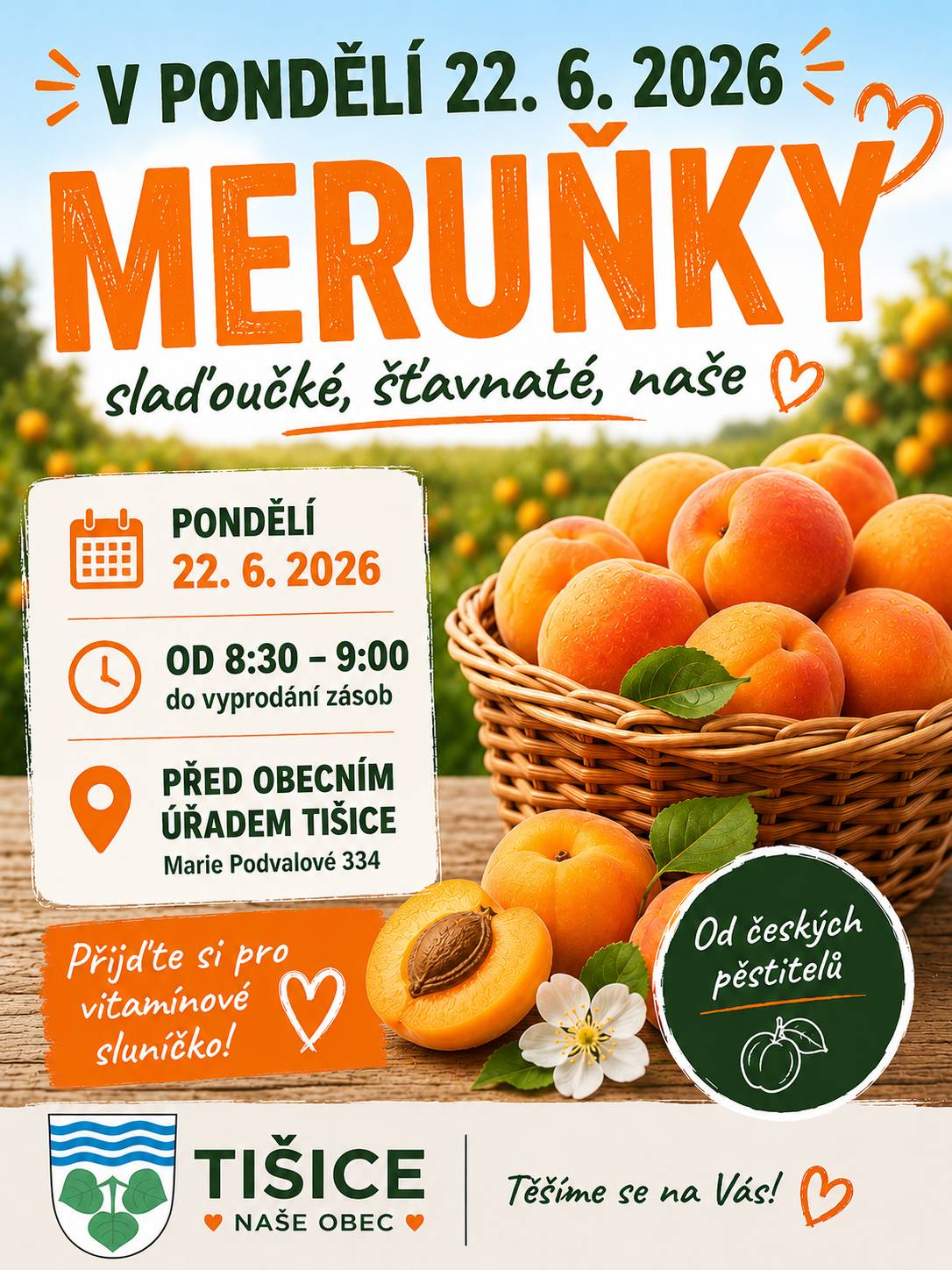 🍑 V pondělí 22. června přijedou před obecní úřad do Tišic prodejci se slaďoučkými meruňkami od českých pěstitelů. 🕣 Prodej začíná v 8:30 a potrvá přibližně do 9:00, případně do vyprodání zásob. Přijďte si pro voňavé letní ovoce přímo od našich pěstitelů a udělejte si zásoby na koláče, marmelády nebo jen tak na mlsání. ☀️🍑 📍 Před obecním úřadem Tišice, Marie Podvalové 334.
