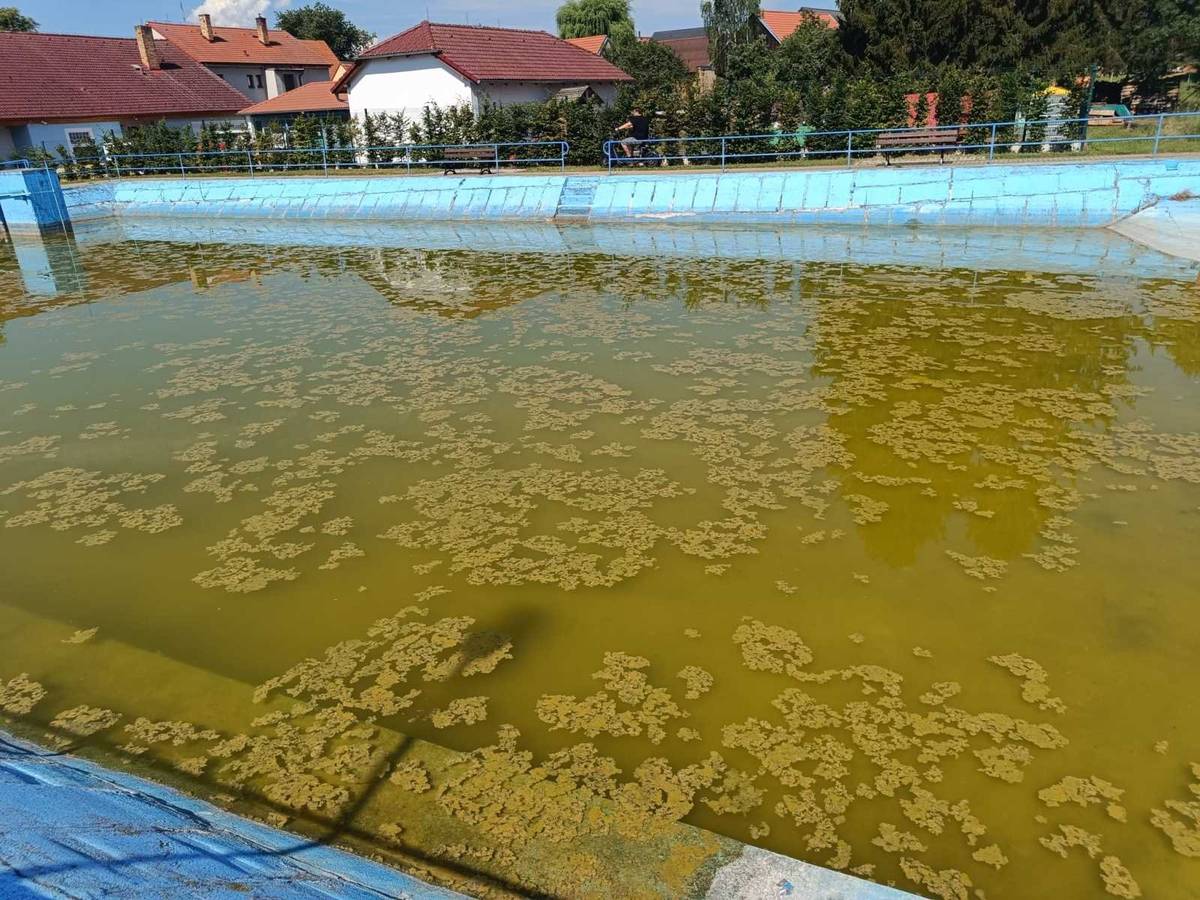 Ve středu 24. 6. 2026 od 16,00 se bude čistit nádrž. Přijďte pomoci s vyčištěním, ať se mají nejen děti kde koupat 🤽♂️💦. Režná košťata s sebou. Děkujeme za pomoc.