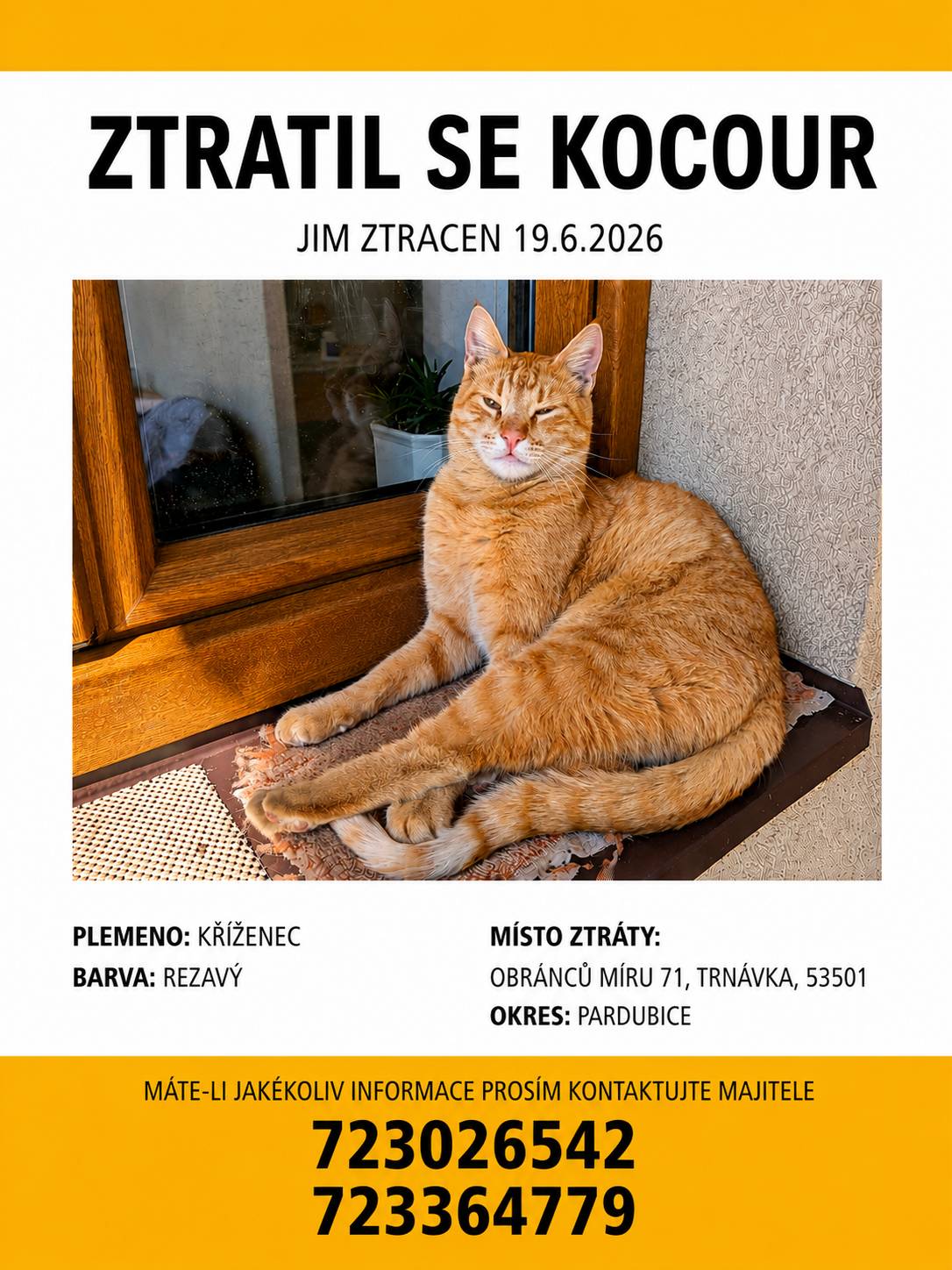 V pátek 19. 6. 2026 se v Trnávce ztratil rezavý kocour Jim. Místo ztráty: Obránců míru 71, Trnávka.Jim je rezavý kříženec.Pokud jste ho viděli, nebo máte jakoukoli informaci o jeho pohybu, prosíme kontaktujte majitele na telefonních číslech: 723 026 542                                                                                          723 364 779 Děkujeme všem za pomoc při hledání.