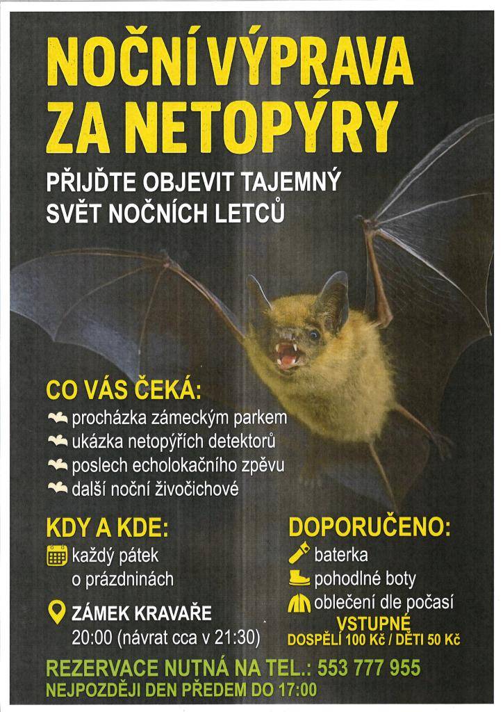 Noční výprava za netopýry