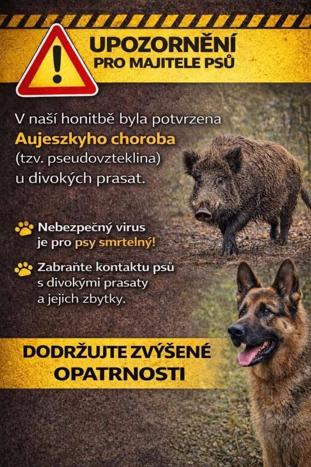 Upozornění mysliveckého spolku Kříby na výskyt Aujeszkyho choroby na našem katastru: