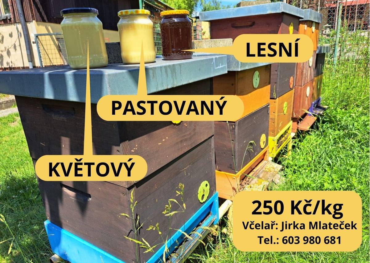 Prodej medu od včelaře: Jiří Mlateček, tel.: 603 980 681