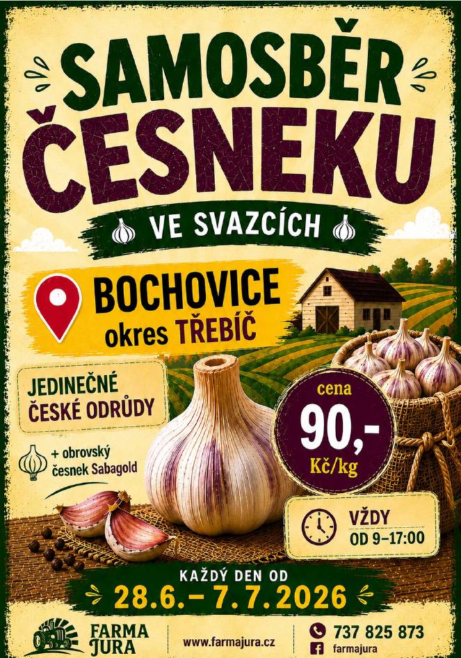 Cena česneku s natí je 90,-/kg. Akce se koná od 28.6. do 7.7. od 9:00-17:00 hod.