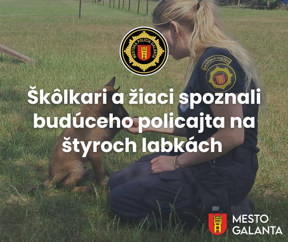 V rámci preventívnych aktivít Mestskej polície zabezpečila naša kynologička Miška ukážku práce psovoda so služobným policajným psom. Deti mali možnosť vidieť základy výcviku psa, spôsob, akým sa učí zvládať nevyhnutné prvky poslušnosti, aj osobitný prístup psovoda k cvičenému psovi.