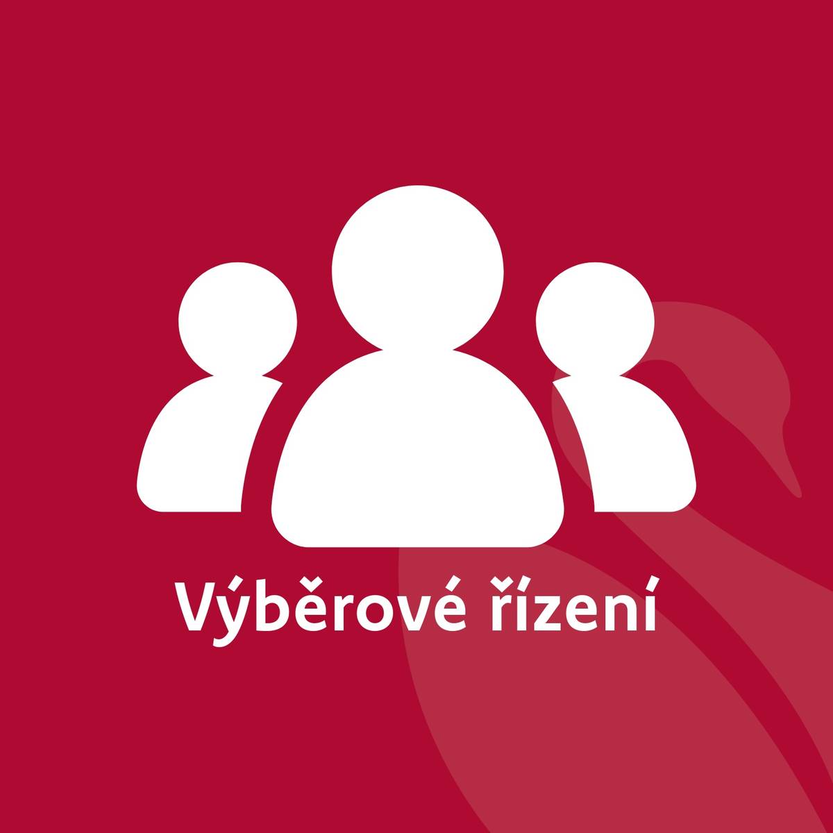 Tajemnice Městského úřadu Rumburk, Třída 9. května 1366/48, 408 01 Rumburk vyhlašuje výběrové řízení na obsazení pracovního místa preventista/ka – v rámci projektu Podpora prevence v Rumburku CZ.10.02.01/00/24_058/0001031