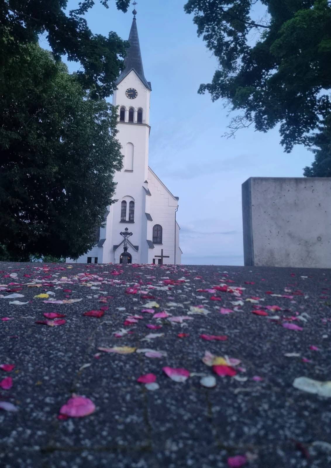 Rímskokatolícky pán farár oznamuje, že v nedeľu 28. júna 2026 budú v našom farskom kostole v Nižnom Hrušove dve sväté omše a to ráno o 7:00 hod. a o 10:00 hod..
