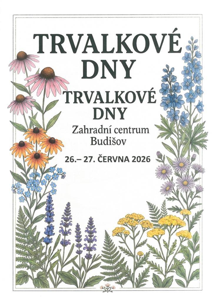 pozvánka