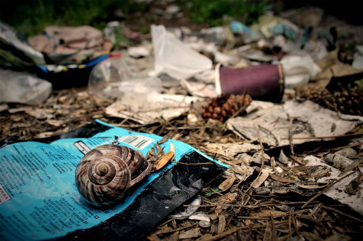 Tento projekt bol zrealizovaný s podporou Environmentálneho fondu