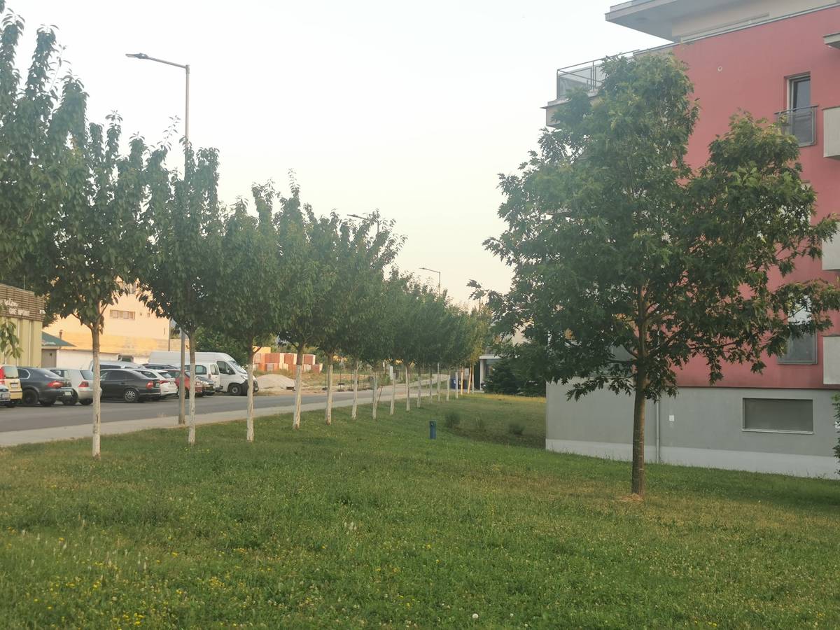 Stromy zlepšujú kvalitu ovzdušia, poskytujú tieň, zadržiavajú vodu v krajine a prispievajú celkovo k príjemnému pocitu. Ich výsadba je vítaná. Ale aj tu platia isté pravidlá. Tým úplne základným je, nechať výsadbu stromov v rukách odborníkov, ktorí majú prehľad o tom, kde sú v zemi uložené – vodovodné a kanalizačné potrubia, plynovody, elektrické vedenia, telekomunikačné káble či ďalšie technické zariadenia. [...]Čítať viac...