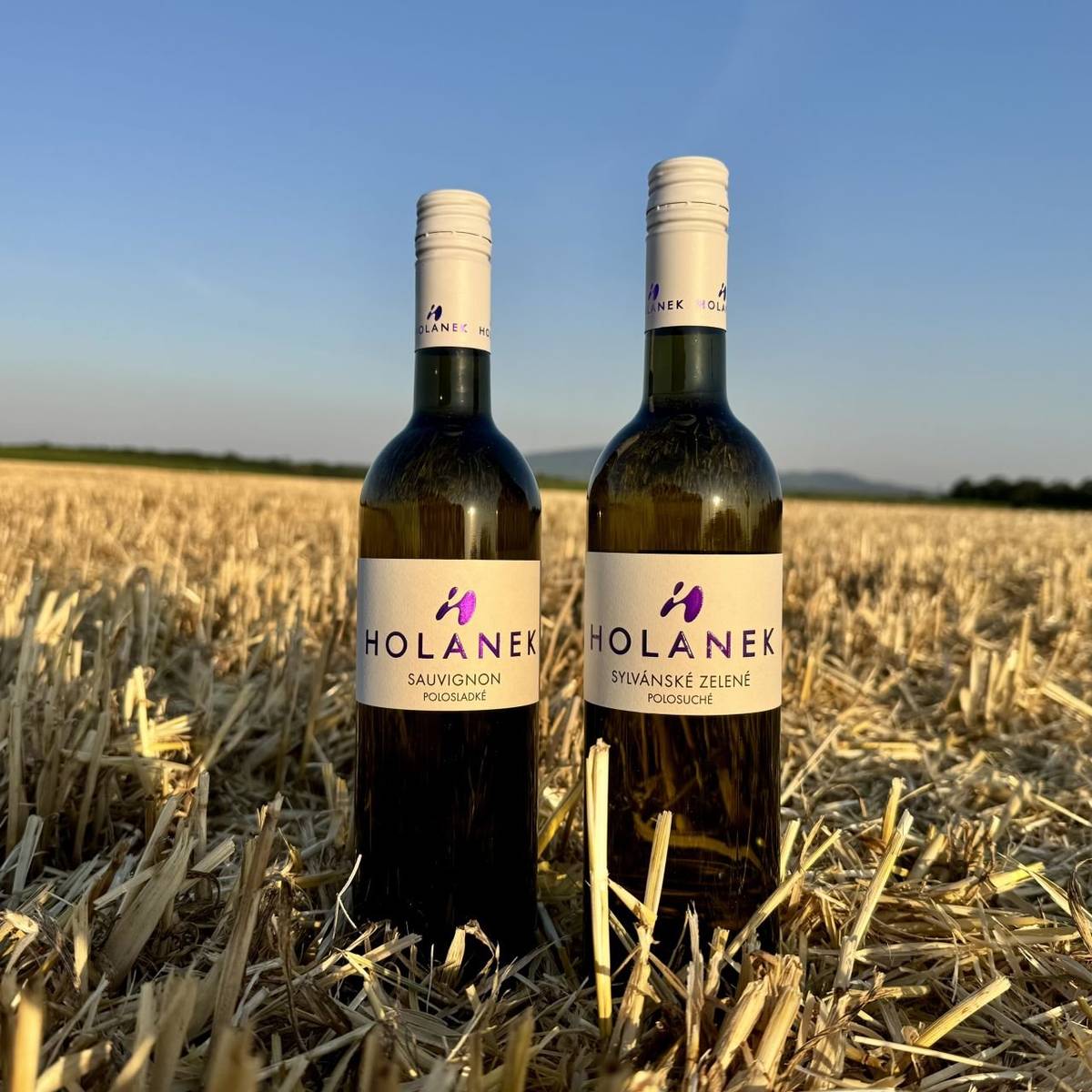Vinařství Holánek přijede do naší obce tuto sobotu 4.7. s pojízdnou vinotékou. Tento týden přiveze vinařství Holánek v akci polosladký Sauvignon za 160 Kč, polosuché Sylvánské zelené za 140 Kč, vína sudová 80-90 Kč/litr, vína lahvová výběr z hroznů, pozdní sběr 150-250 Kč. Vinotéka bude stát od 16:00 do 16:20 na parkovišti pod kulturním domem.