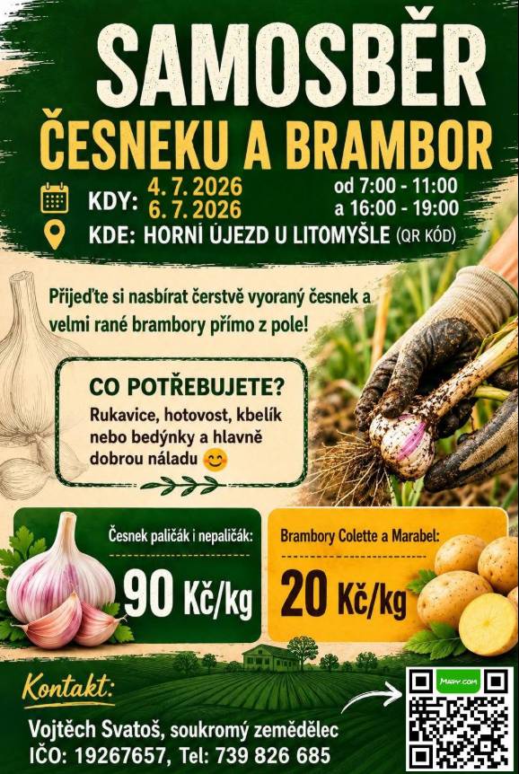 Soukromý zemědělec Vojtěch Svatoš pořádá v sobotu 4.7. a v pondělí 6.7. samosběr velmi raných brambor a česneku. Brambory za cenu 20 Kč/kg a česnek za cenu 90 Kč/kg, na výběr z několika odrůd. Samosběr v Horním Újezdě na Vísce  - bude označeno. Pro více info volejte na 739826685.