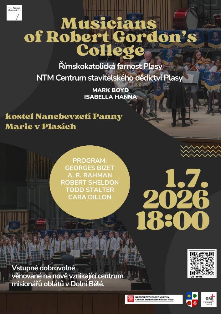 Kostel Nanebevzetí Panny Marie v Plasích