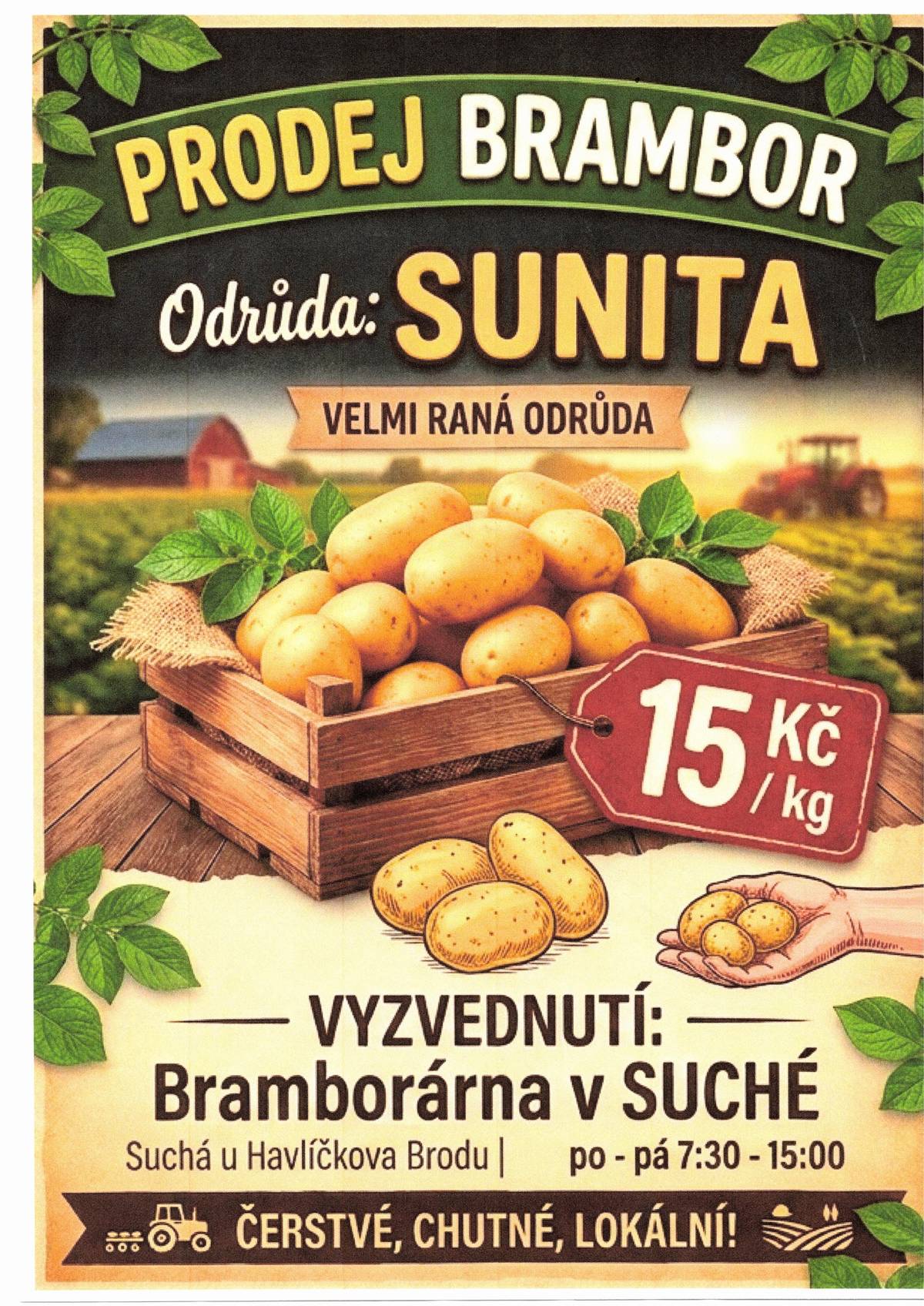 ZD Okrouhlička nabízí k odběru nové brambory k vyzvednutí na bramborárně v Suché.