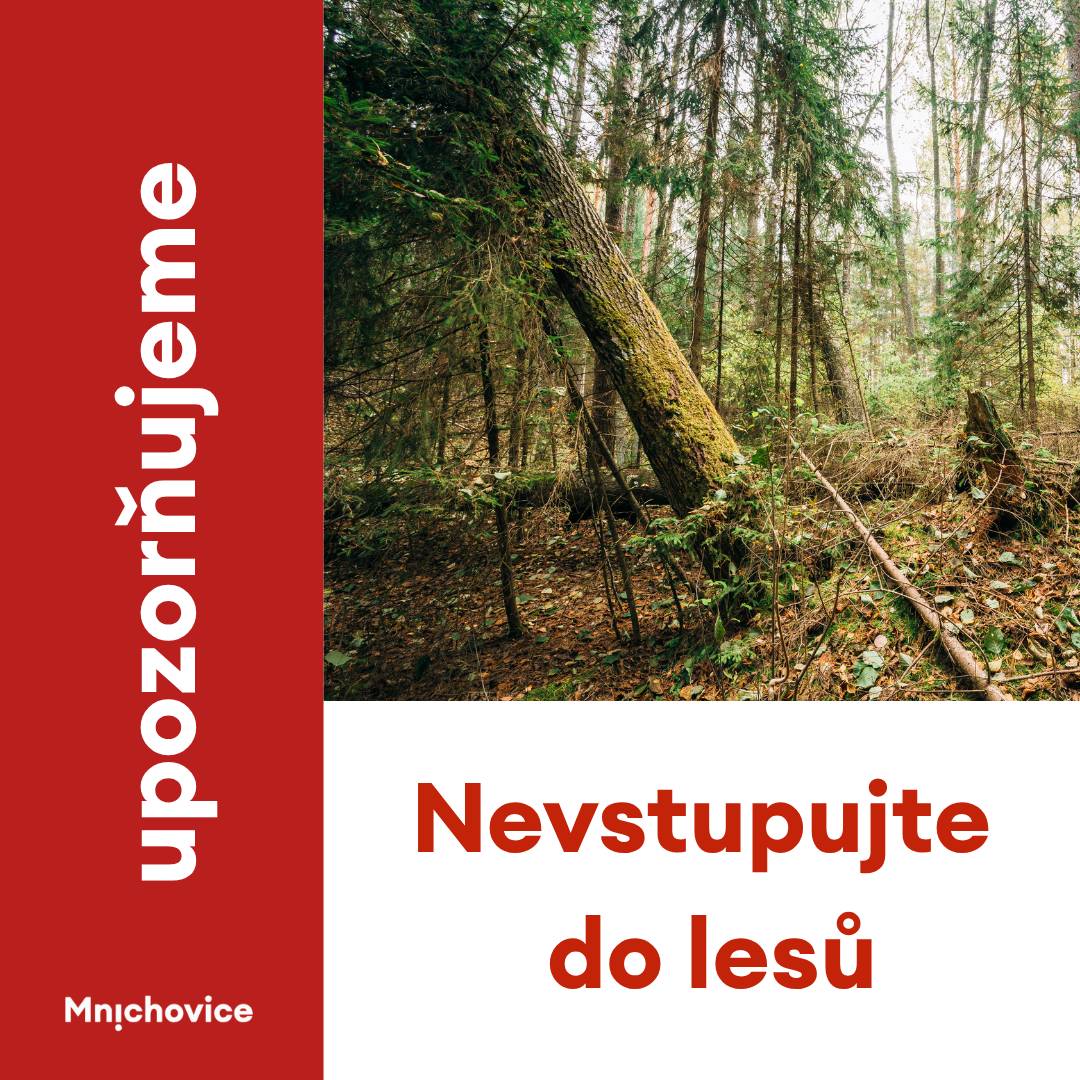 Město Mnichovice upozorňuje občany, aby v následujících dnech nevstupovali do lesů a lesních porostů. V důsledku nedávné bouřky hrozí zvýšené riziko vývratů stromů, pádu větví a zlomených stromů, které mohou ohrozit zdraví i život návštěvníků. Situaci navíc zhoršuje předpověď dalších bouřek a silného větru. Žádáme veřejnost o zvýšenou opatrnost a doporučujeme odložit procházky, sportovní aktivity i další návštěvy lesa do doby, než nebezpečí pomine. Děkujeme za pochopení