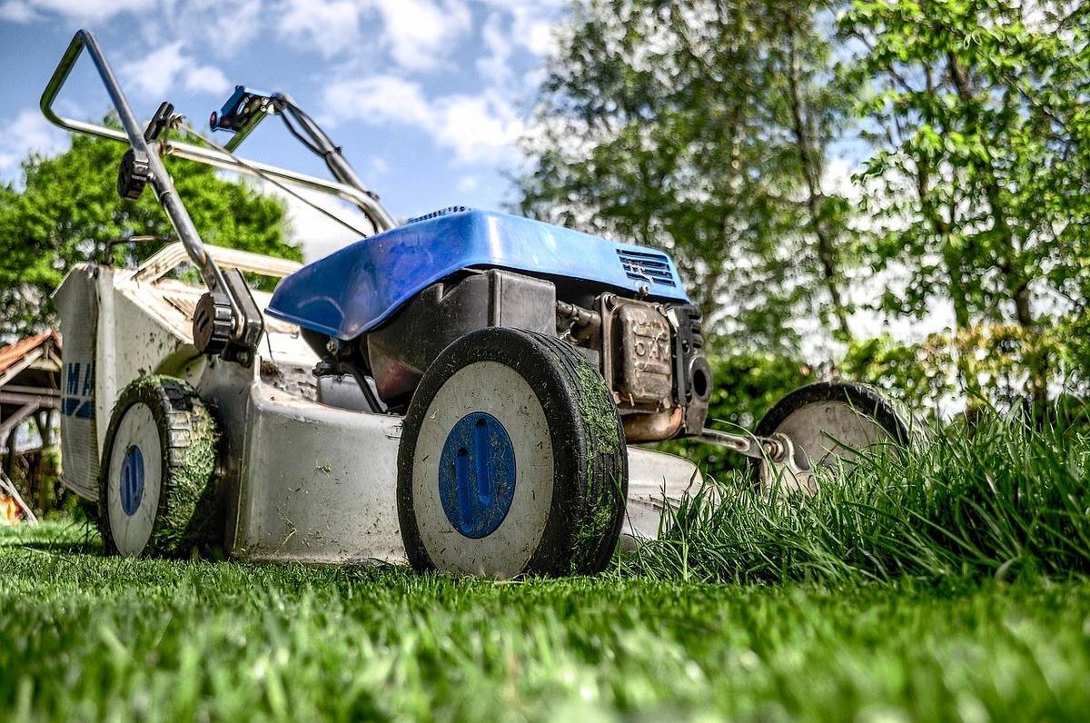 Agroservis Holý oznamuje, že od 4. 7. 2026 do 12. 7. 2026 bude probíhat celofiremní dovolená. Během této doby nebudou dostupné žádné naše služby ani komunikační kanály. V plné síle budeme fungovat zase od 13. 7. 2026.   -----ÚPRAVA PRACOVNÍ DOBY BĚHEM PRÁZDNIN---- Během července a srpna 2026 bude ve všechny soboty zavřeno.