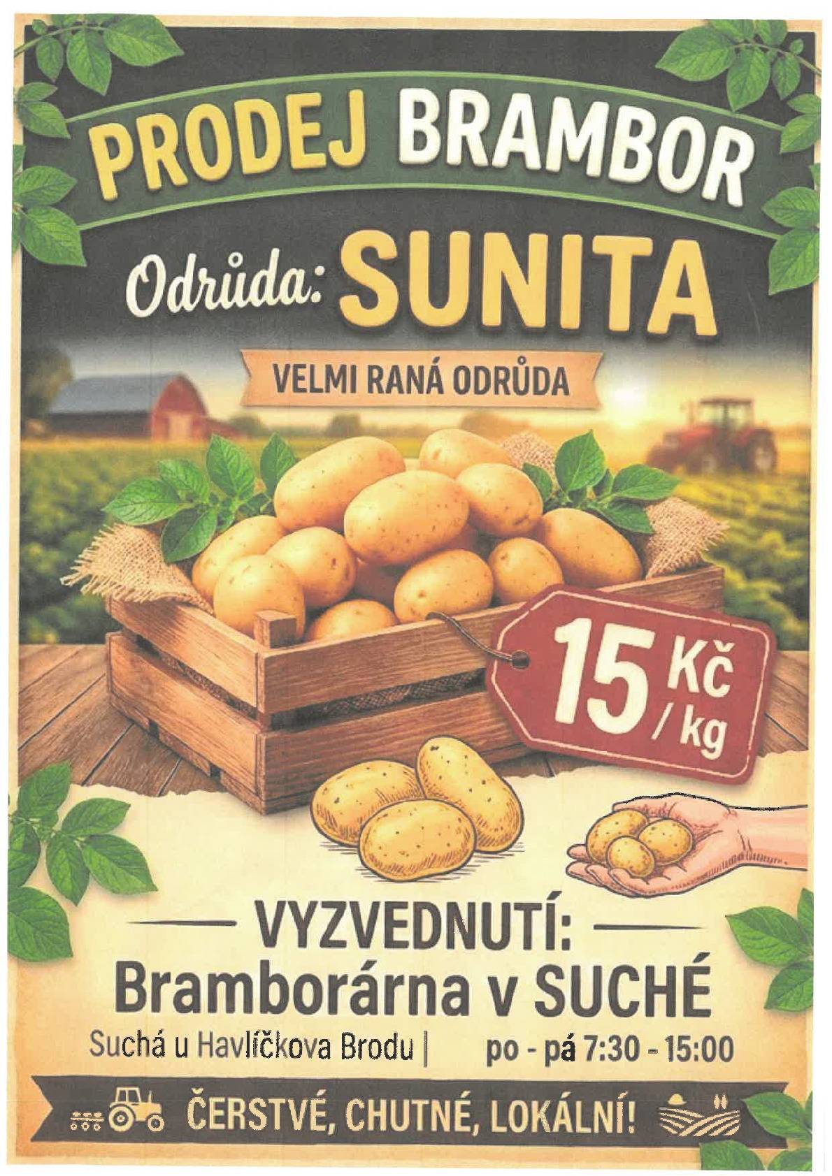 Prodej raných brambor - bramborárna Suchá (po-pá: 7,30-15,00)