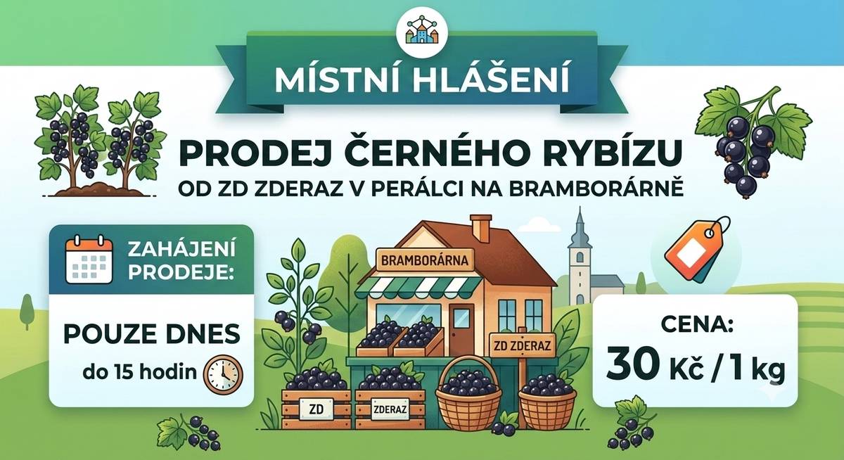 ZD Zderaz oznamuje občanům možnost zakoupení čerstvého černého rybízu.   Kdy: Pouze dnes do 15:00 hod.   Kde: Perálec – na bramborárně   Cena: 30 Kč / 1 kg   Udělejte si zásoby na skvělé domácí marmelády, sirupy nebo koláče!