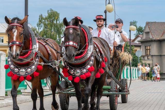 Tři dny plné koncertů, zábavy, historických oslav, ale také folkloru a umění. To budou Svatovavřinecké hody 2026. Letos poprvé ožije i prostranství u Trafačky, které do oslav navrací lidové zvyky a folklor. Jedním z vrcholů oslav bude i večerní historický program se scénkami a předáním městských práv Přemyslem Otakarem II.                               Číst dál...