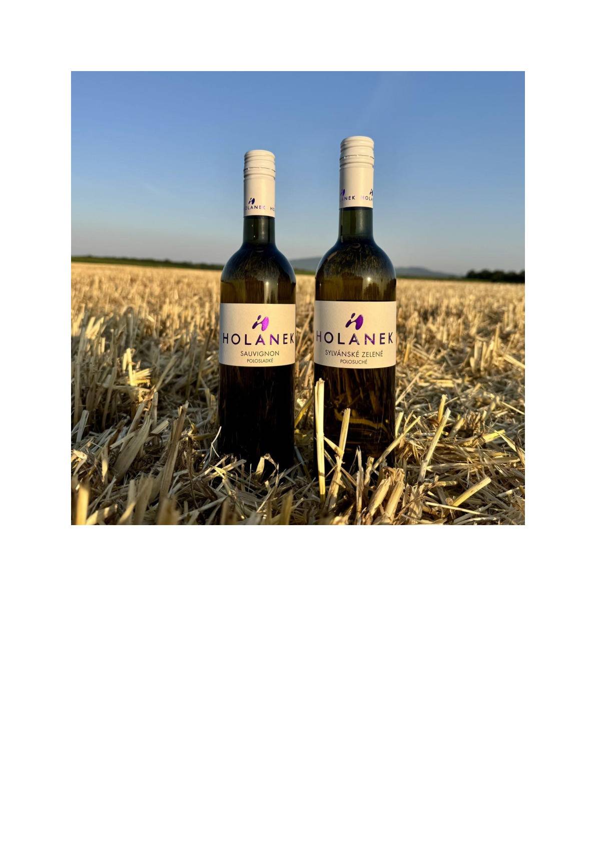 Vinařství Holánek přijede dnes 3.7.2026 s pojízdnou vinotékou.Tento týden přiveze vinařství Holánek v akci polosladký Sauvignon za 160 Kč, polosuché Sylvánské zelené za 140 Kč, vína sudová 80-90 Kč/litr, vína lahvová výběr z hroznů, pozdní sběr 150-250 Kč. Vinotéka bude stát od 12:35  do  12:55 před kulturním domem.