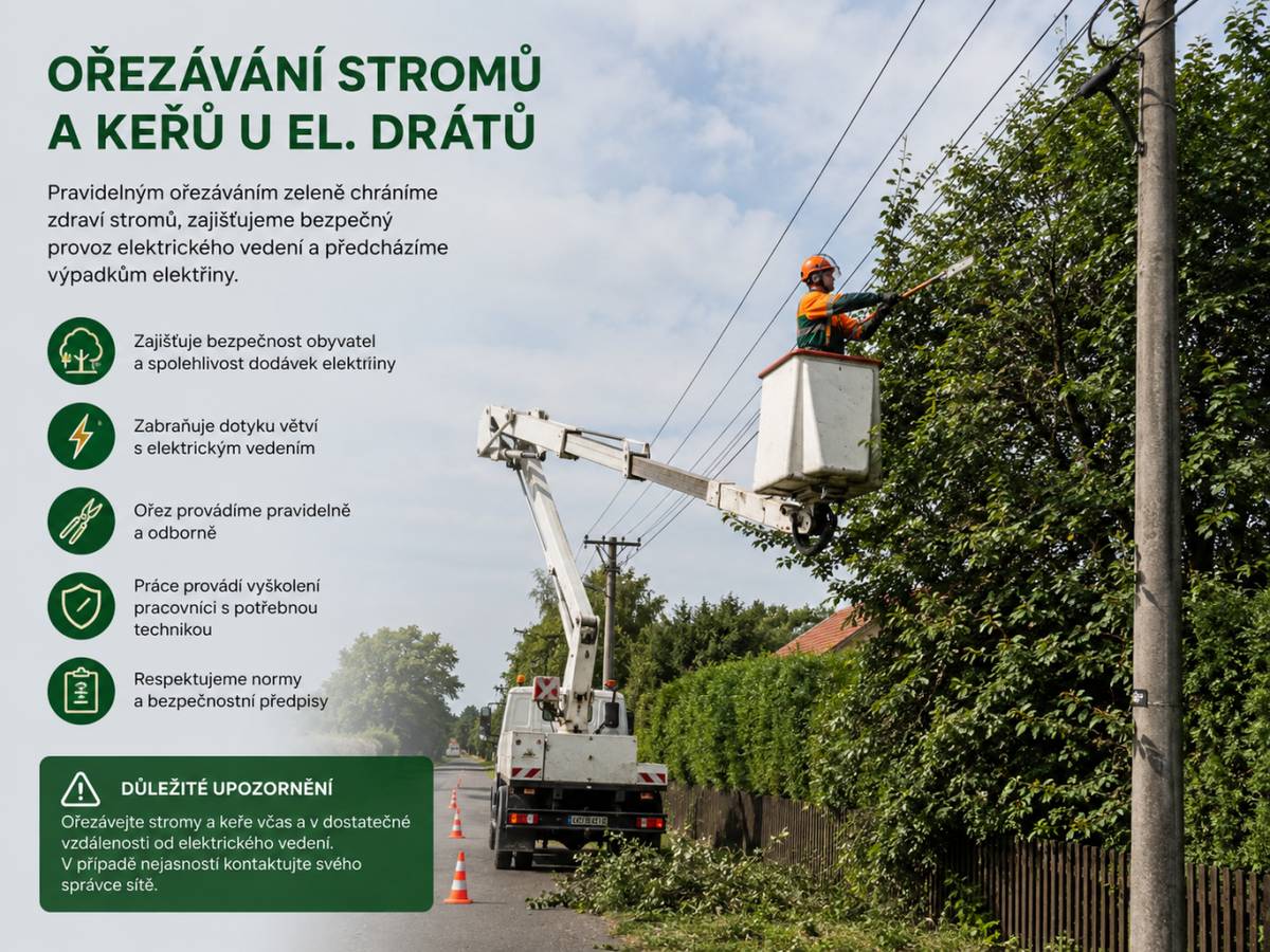 Odstranění a okleštění stromoví a jiných porostů.