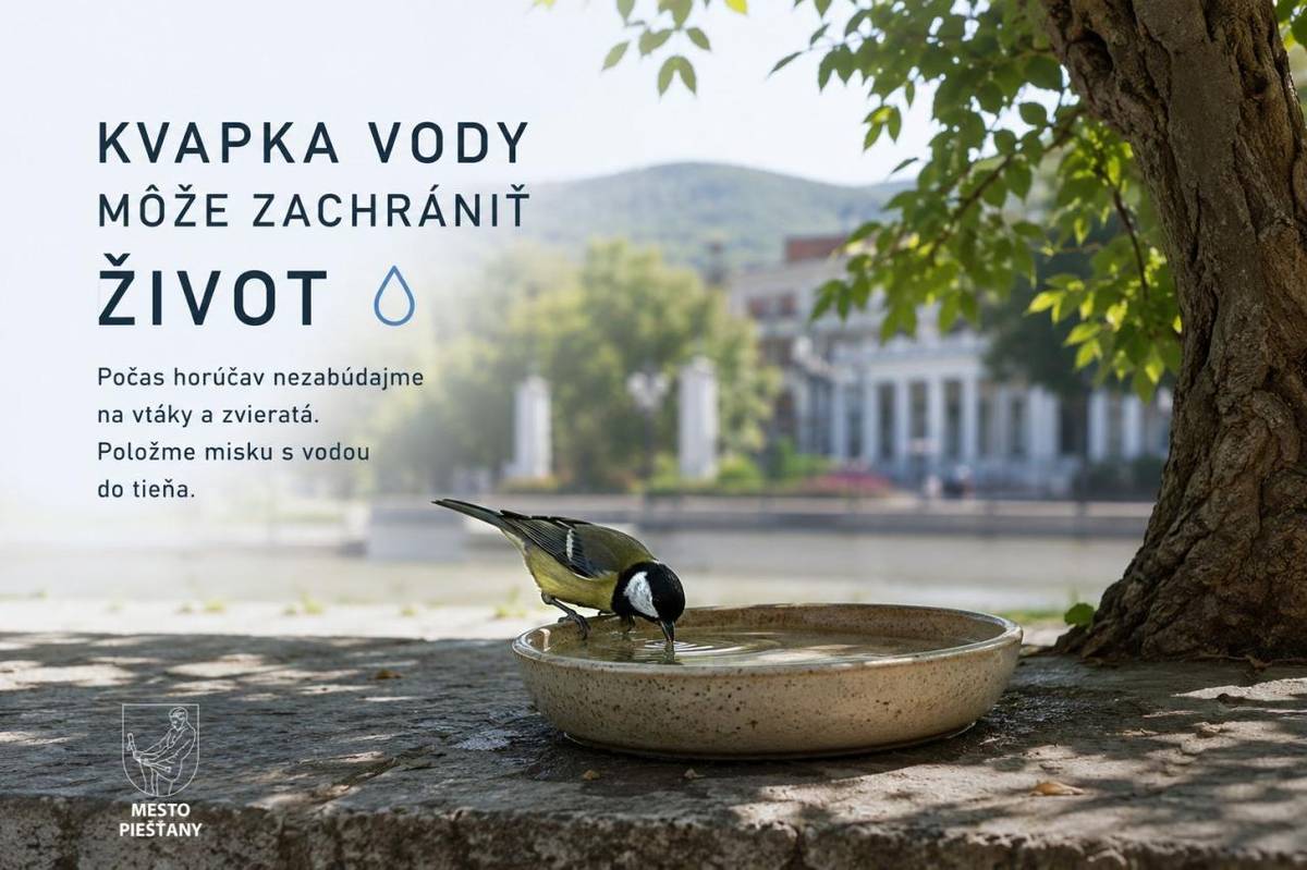 Vysoké letné teploty sú náročné nielen pre ľudí, ale aj pre voľne žijúce zvieratá. Dlhšie obdobie bez zrážok spôsobuje, že prirodzených zdrojov vody ubúda, a preto môže aj malá pomoc znamenať veľký rozdiel.