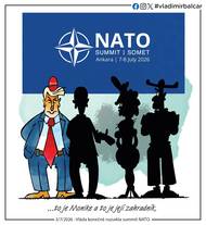 Vláda konečně rozsekla summit NATO