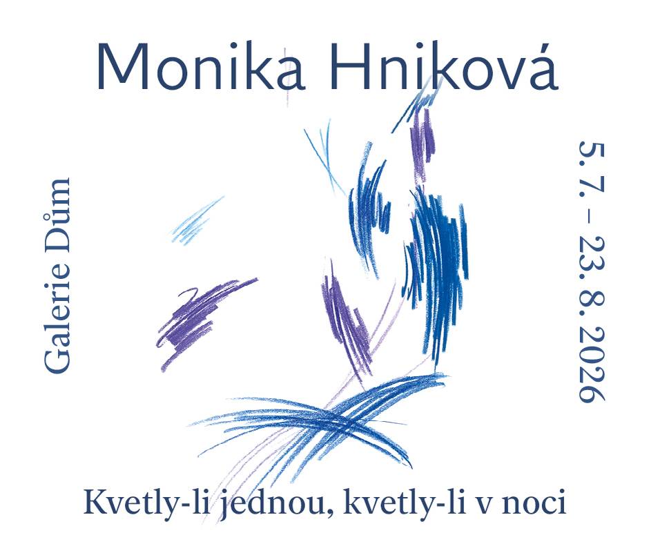 výstava
