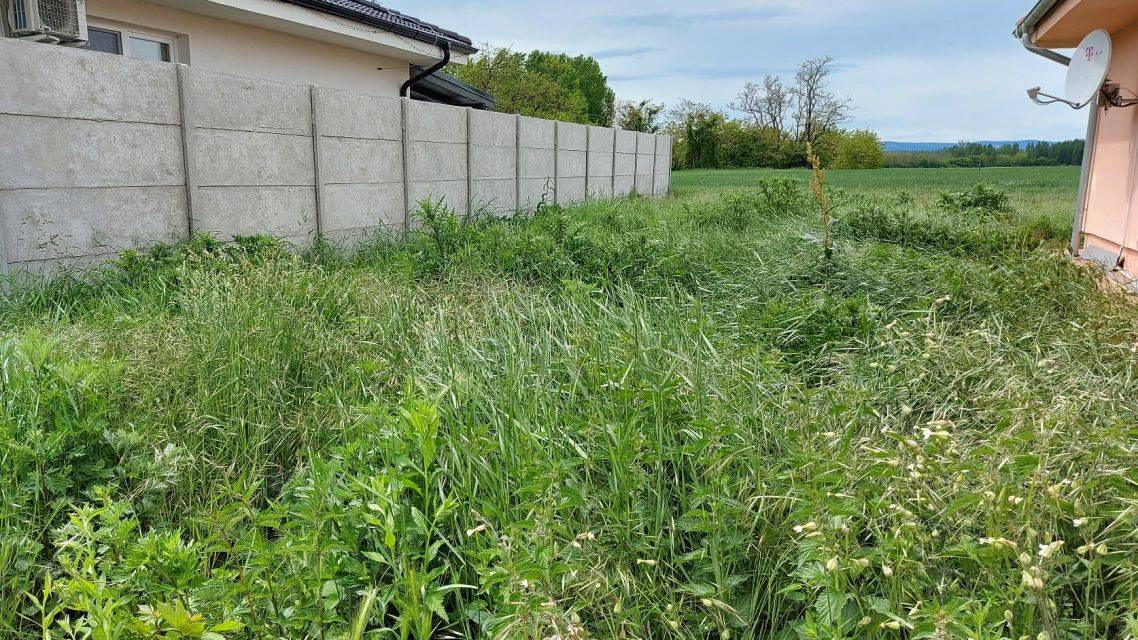 Obec Žaškov upozorňuje vlastníkov pozemkov na plnenie viacerých zákonných povinností s cieľom predchádzať šíreniu burín a inváznych druhov rastlín. Nepokosené pozemky sú okrem iného hniezdiskom rôznych obťažujúcich živočíchov, ako aj zdrojom ďalšieho šírenia (výtrusy, semená).