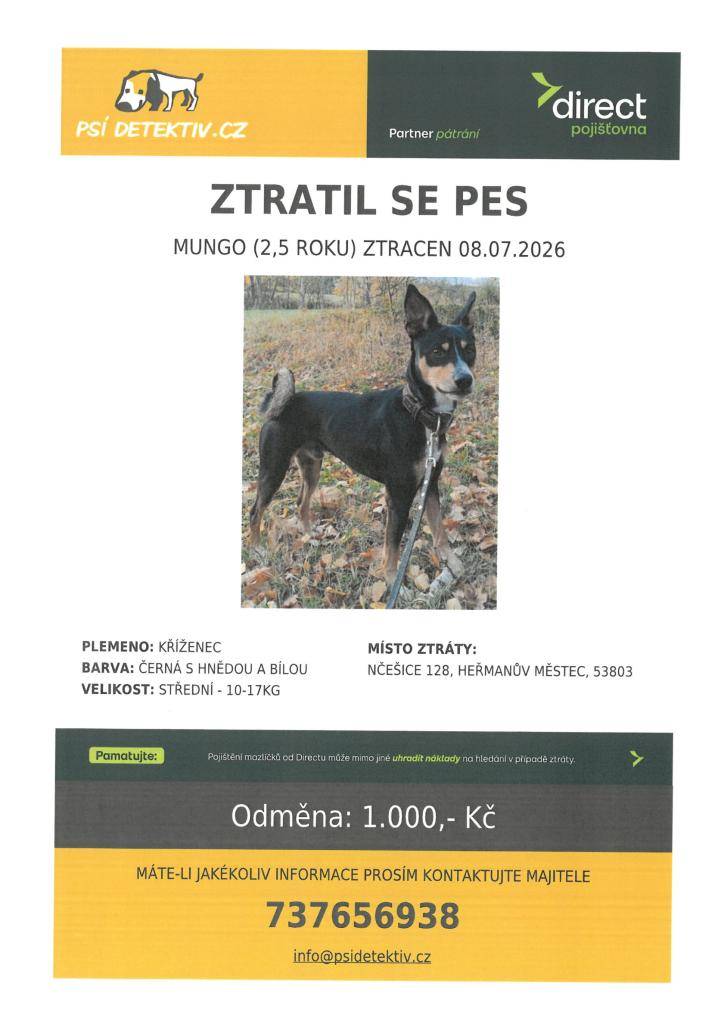Hledá se pes - Načešice