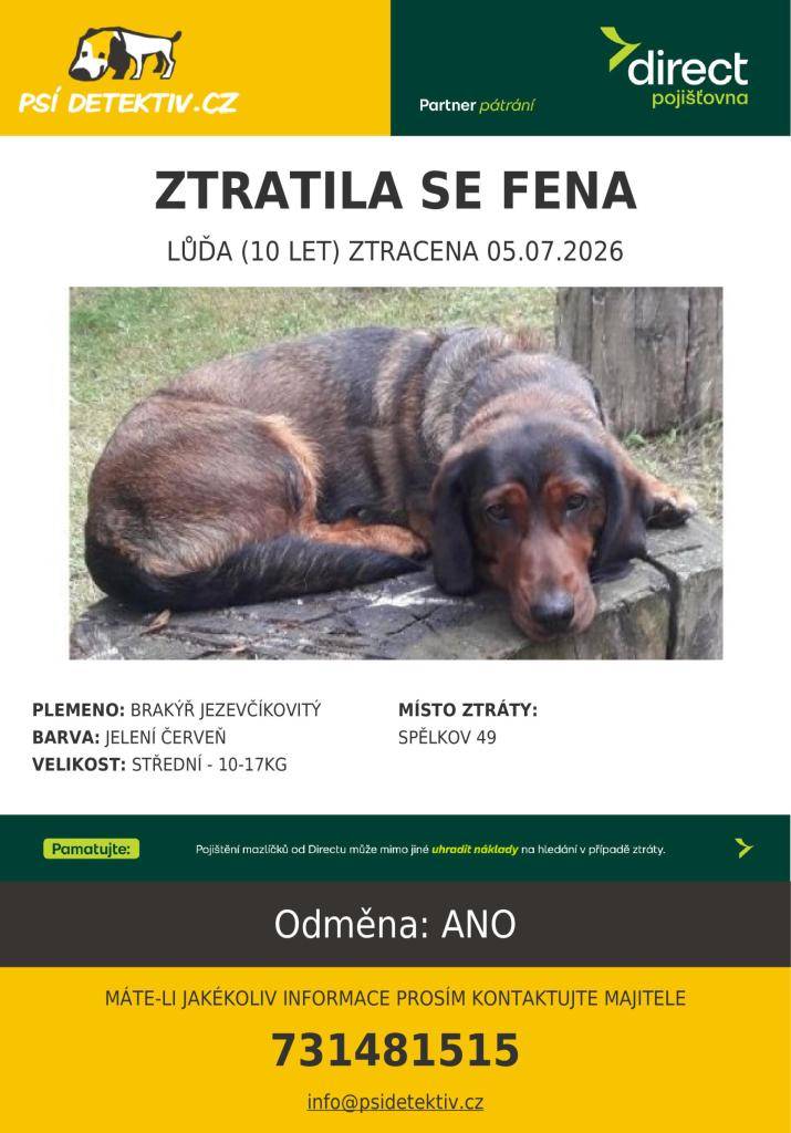 V obci Spělkov, okr. Žďár nad Sázavou se 5.7. ztratila 10 let stará fenka jezevčíkovitého brakýře jménem Lůďa!