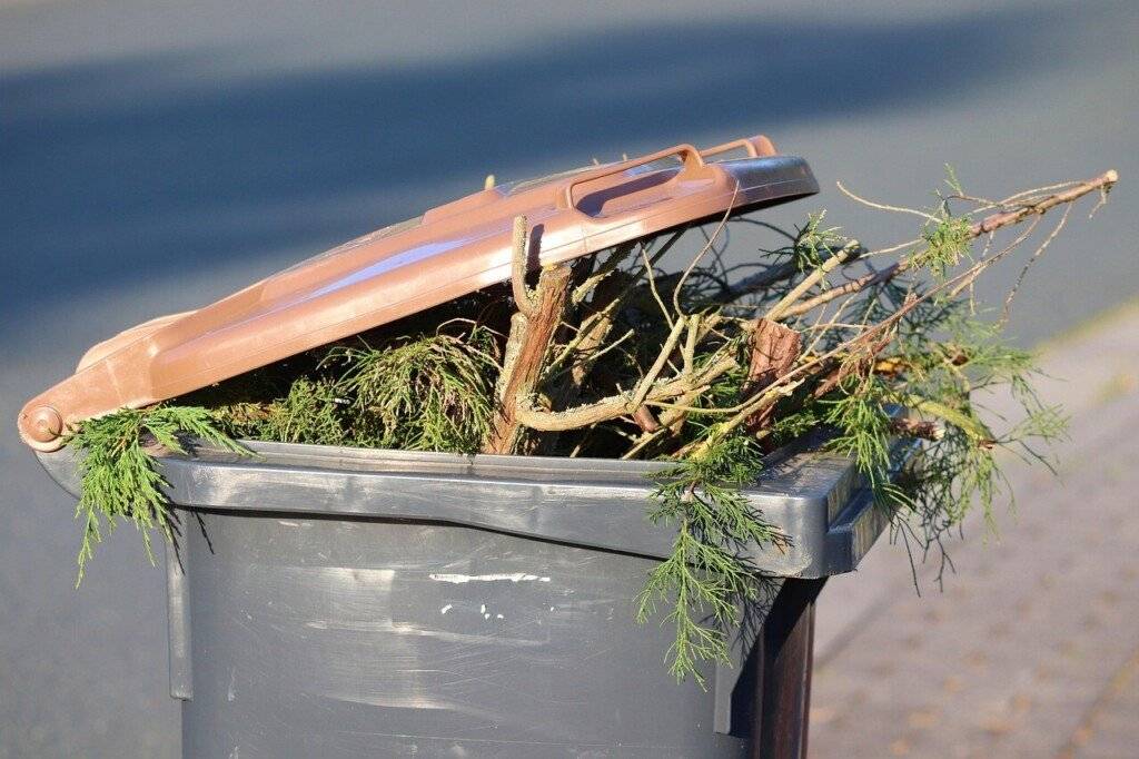 Odbor životního prostředí a zemědělství, který má v kompetenci nakládání s komunálním odpadem, připravil ve spolupráci se společností Frýdecká skládka, a.s., zajišťující svoz komunálního odpadu na území města, harmonogram svozu biologicky rozložitelného odpadu v srpnu 2026, a to formou přistavení velkoobjemových kontejnerů. Více zde: SVOZ BIOLOGICKÉHO ODPADU V SRPNU 2026 | Frýdek-Místek