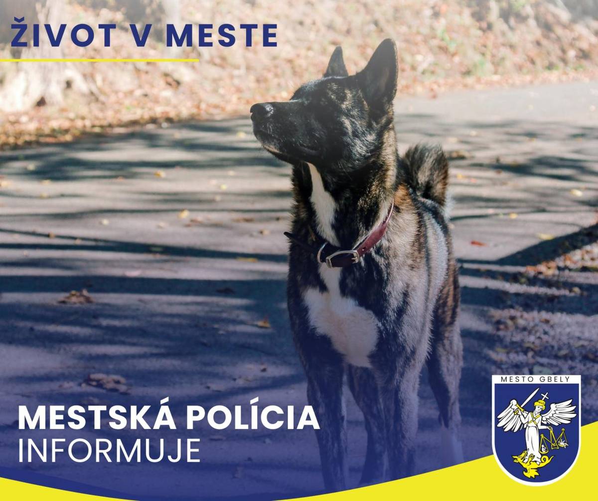 Mestská polícia Gbely upozorňuje majiteľov psov na dodržiavanie platného VZN mesta Gbely č. 5/2015 o niektorých podmienkach držania psov v k.ú. mesta Gbely z dôvodu zaznamenaného zvýšeného počtu voľného pohybu psov hliadkou ako i na základe podnetov obyvateľov a návštevníkov mesta Gbely a RO Adamov.