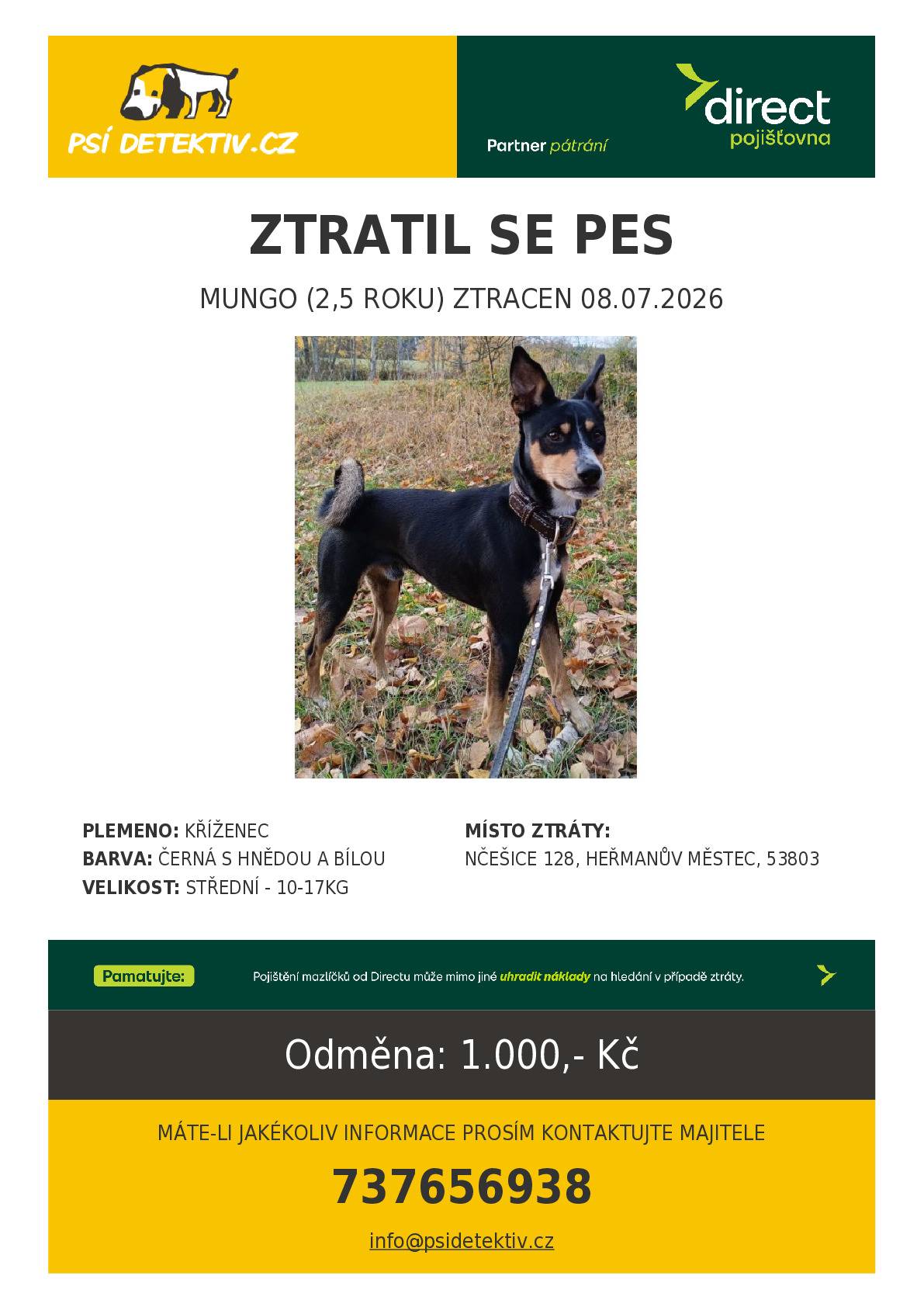 Hledá se pejsek Mungo z Načešic.