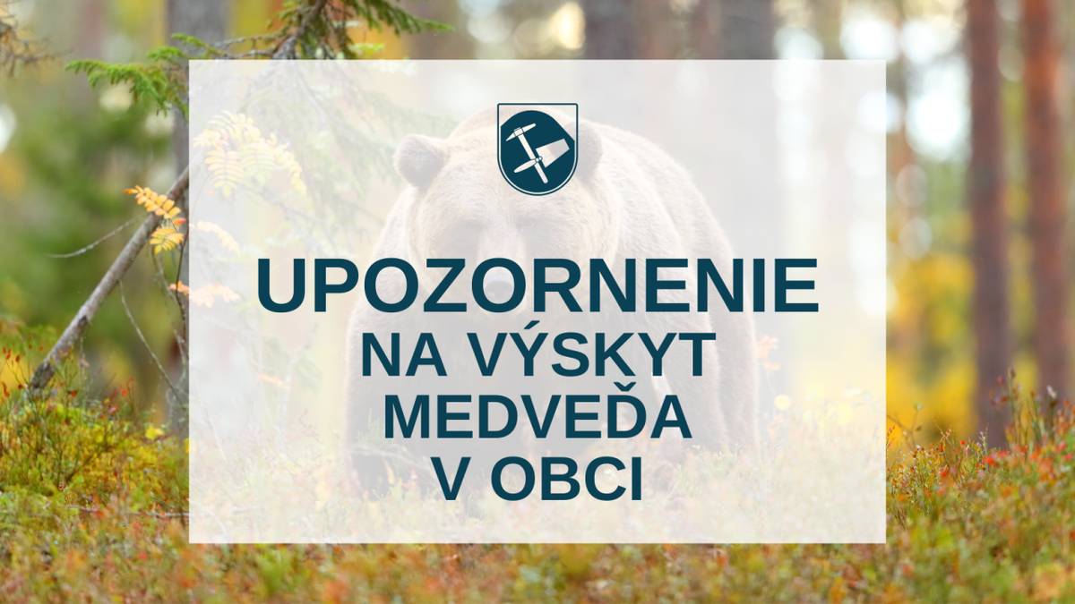 Pohyb medveďa v obci