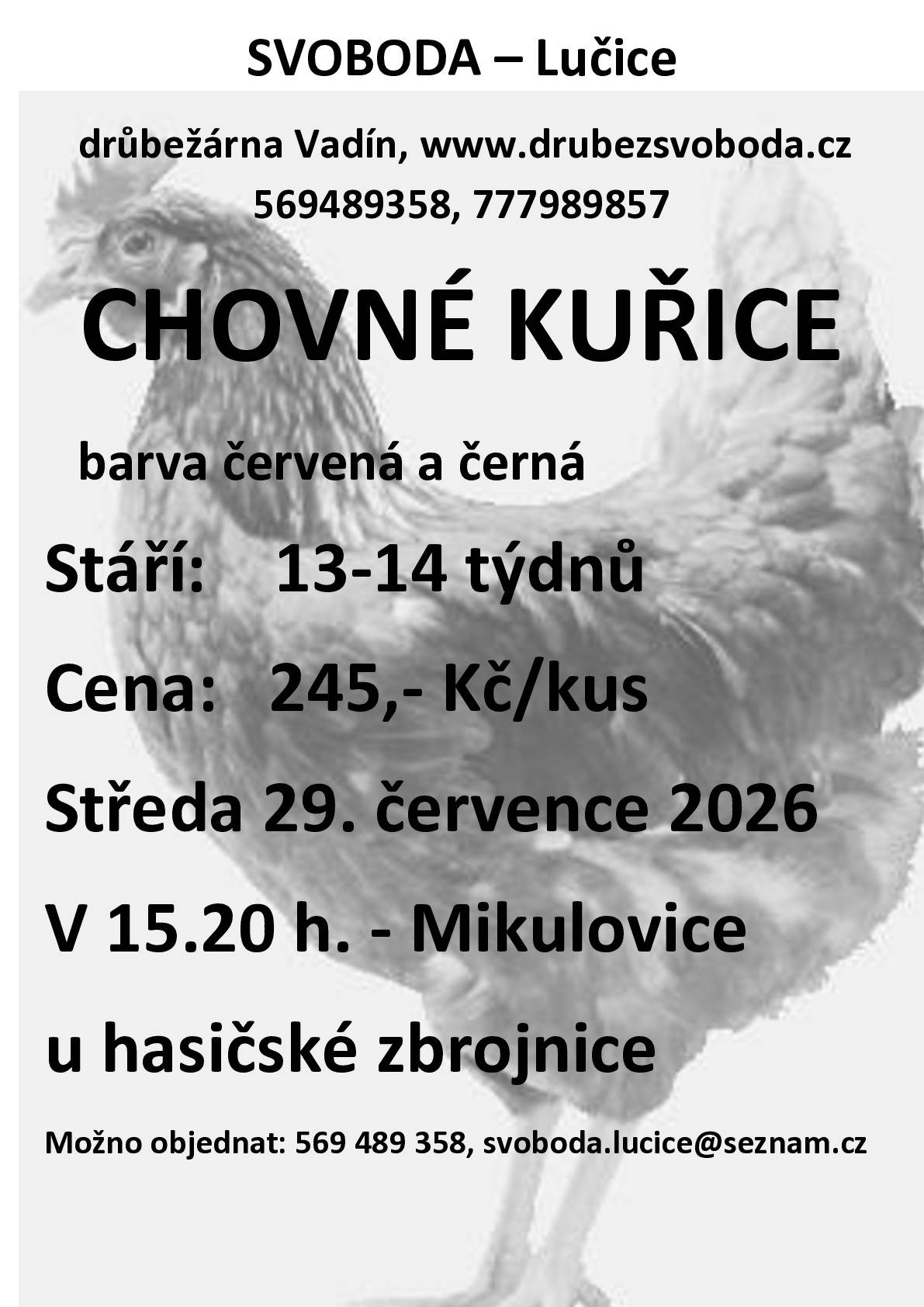 Firma Svoboda Lučice bude prodávat ve středu 29. července 2026 v 15.20 hodin na náměstí u hasičské zbrojnice nosné kuřice, stáří 13 - 14 týdnů, cena 245,- Kč/kus, barva červená a černá.   Objednání je možné na  tel. 569 489 358 nebo emailem svoboda.lucice@seznam.cz