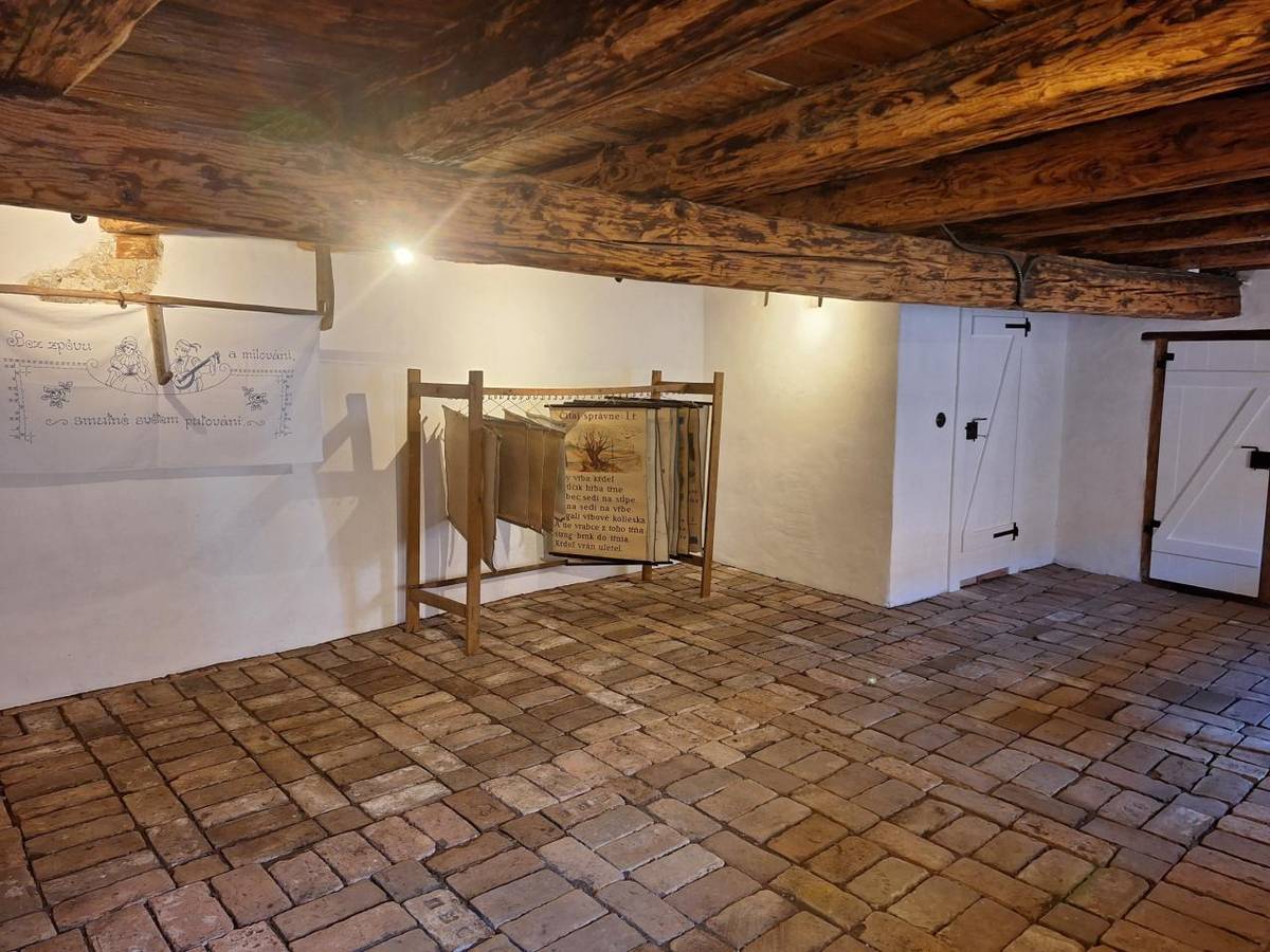 Projekt sa zameral na neodkladnú záchranu a stavebnú sanáciu havarijného stavu historickej komory v Rodičovskom dome Juraja Palkoviča.