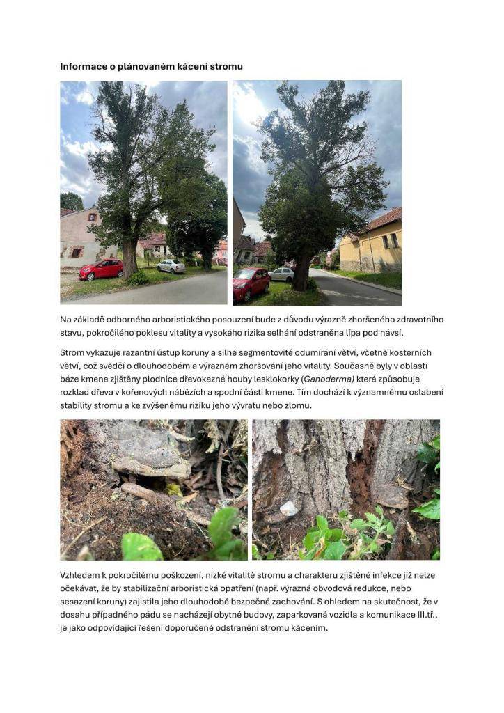 Na základě odborného arboristického posouzení bude z důvodu výrazně zhoršeného zdravotního stavu, pokročilého poklesu vitality a vysokého rizika selhání odstraněna lípa pod návsí.