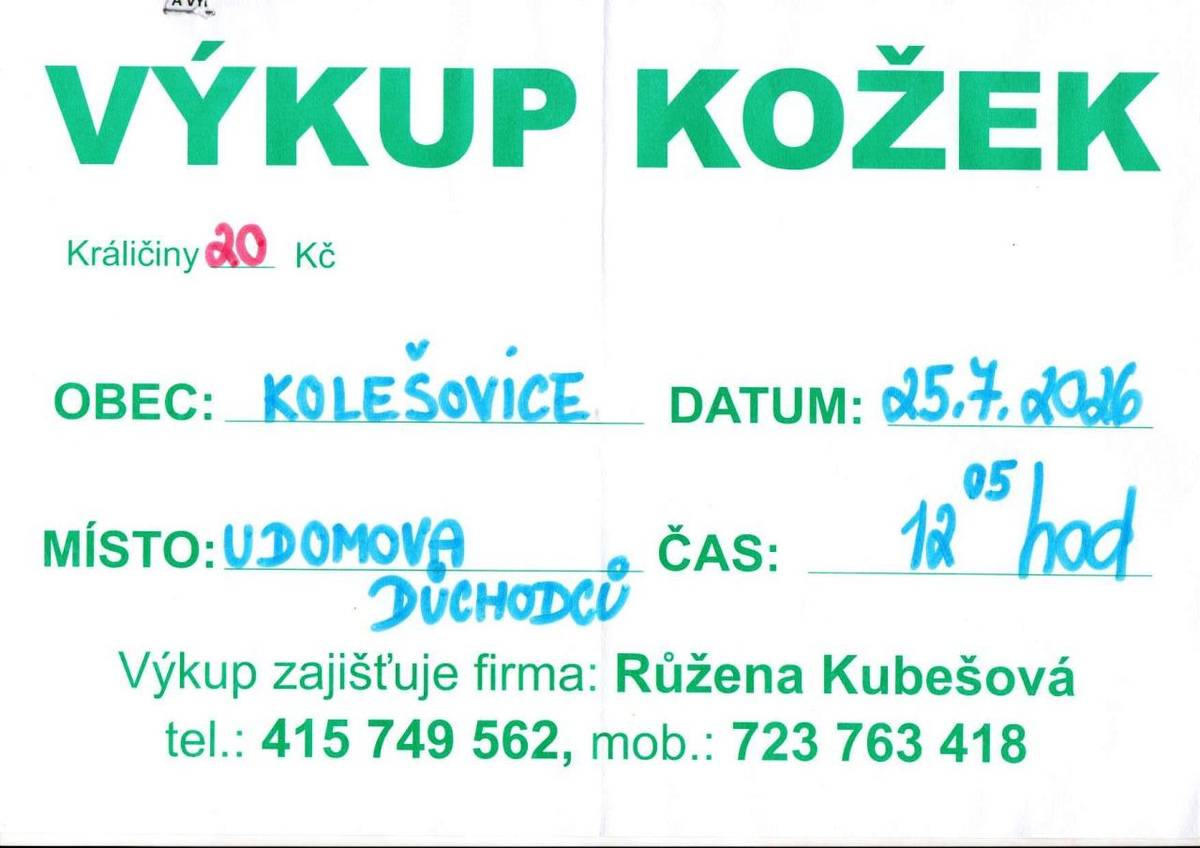Výkup králičích kožek zajišťuje firma Růžena Kubešová.