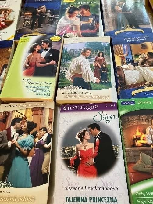 Téměř dvacítka návštěvníků využila pondělní prázdninovou burzu k pořízení nové literatury na dovolenou, přičemž mnozí z nich zároveň darovali své přečtené knihy ostatním.  Akce, která proběhla 13. července 2026 v Obecní knihovně v Pátku, nabídla příležitost k výměně knih a možnost ulovit si zajímavé čtení.