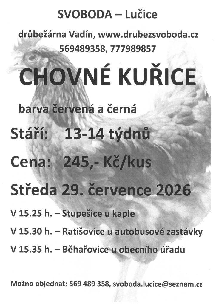 Firma Svoboda Lučice bude prodávat ve středu 29. července 2026 v 15.25 hodin - Stupešice - u kaple,v 15.30 hodin - Ratišovice - u autobusové zastávky,                                                  v 15.35 hodin - Běhařovice - u OÚ    nosné kuřice, stáří 13 - 14 týdnů, cena 245,- Kč/kus.