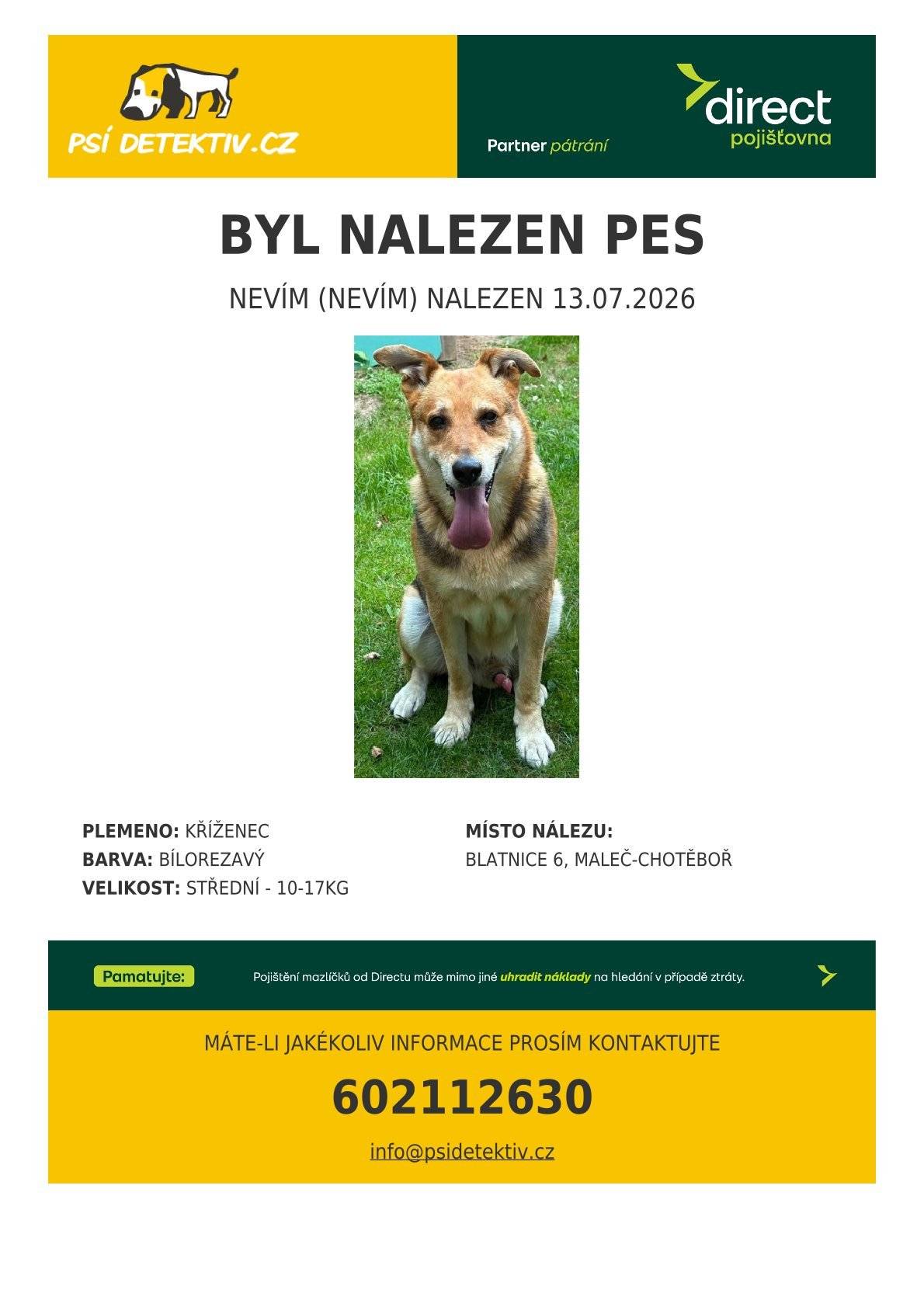 V obci Blatnice se pohybuje kříženec psa, střední velikosti, barvy bílo-rezavé. Tel,: 602112630