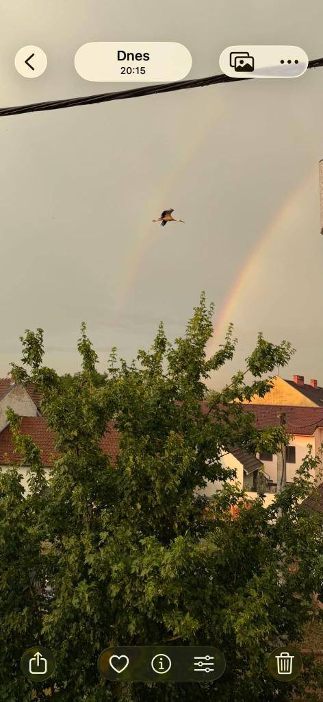 Čapí pár na komíně základní školy letos úspěšně vyvedl mláďata a připomněl nám, že Svitávka je místem, kam se stojí za to vracet.